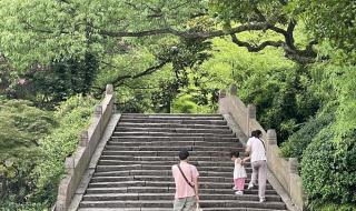 核污水会不会影响下雨 核废水会形成降雨吗